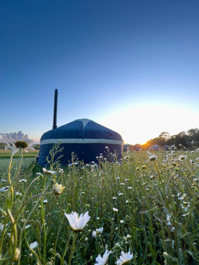 Wild Meadow, Lodge Farm, East Raynham Fakenham Εξωτερικό φωτογραφία