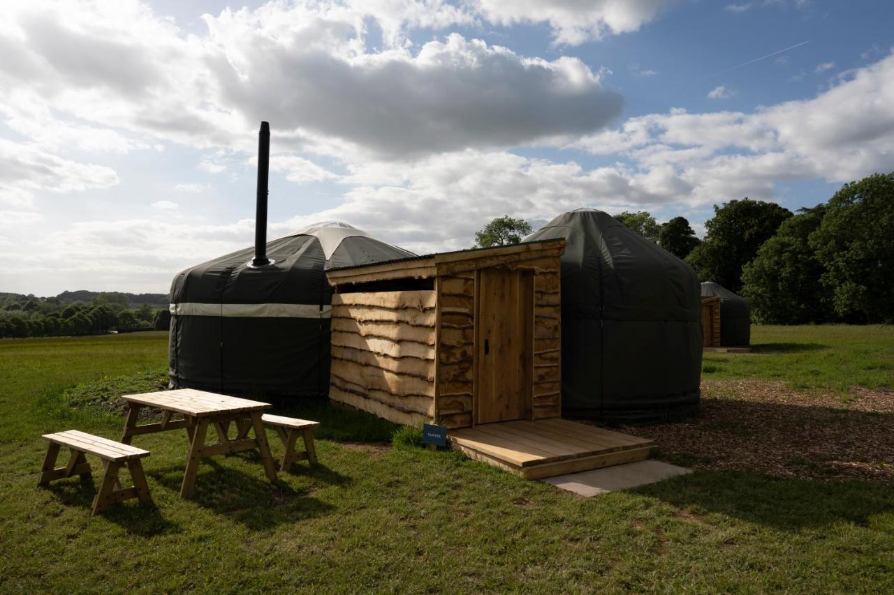 Wild Meadow, Lodge Farm, East Raynham Fakenham Εξωτερικό φωτογραφία