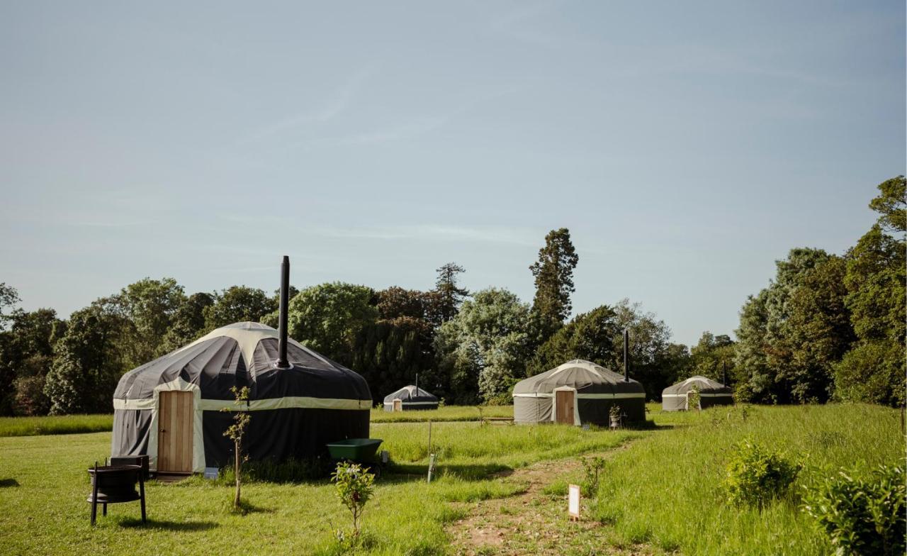 Wild Meadow, Lodge Farm, East Raynham Fakenham Εξωτερικό φωτογραφία