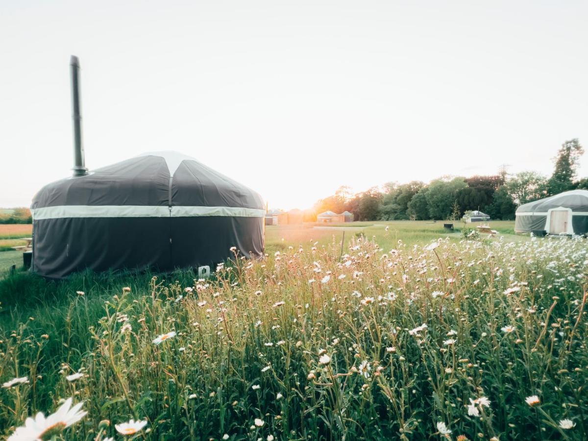 Wild Meadow, Lodge Farm, East Raynham Fakenham Εξωτερικό φωτογραφία